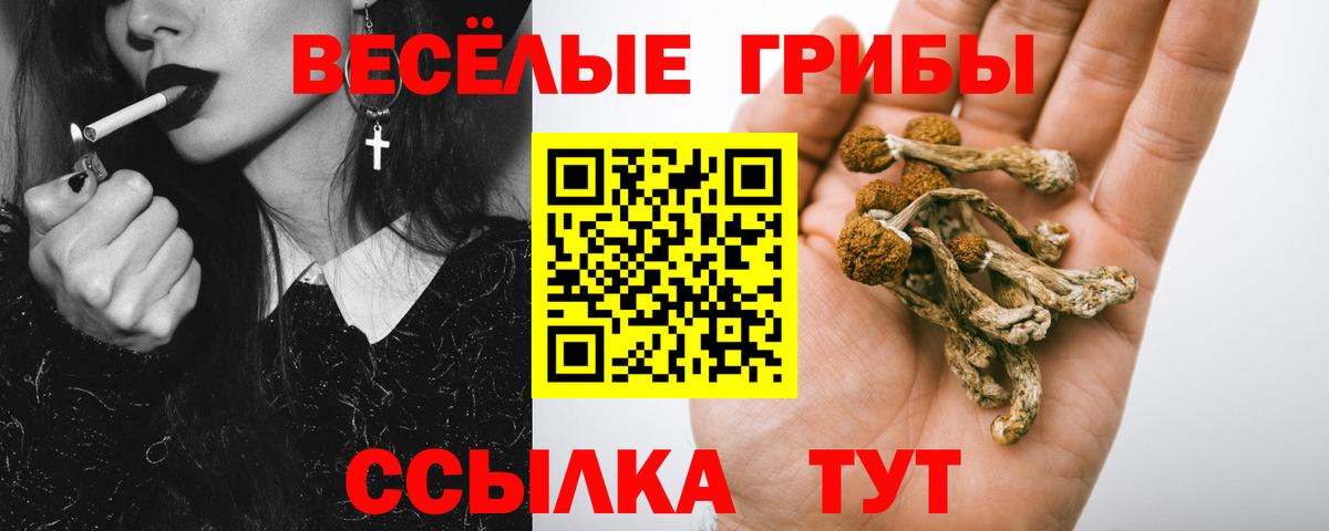Галлюциногенные грибы мухоморы Топки