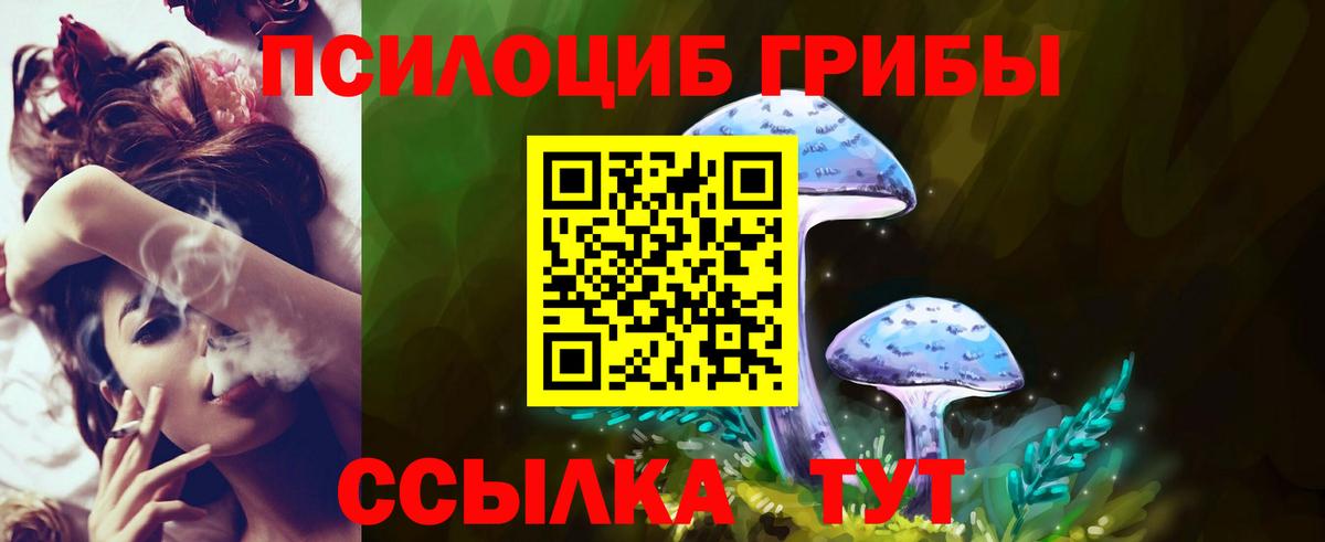 Топки  Галлюциногенные грибы Psilocybe  Вход с VPN  Галлюциногенные грибы Cubensis 